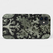 Haeckel iPhone Case - Lichenes (Achterkant (horizontaal))