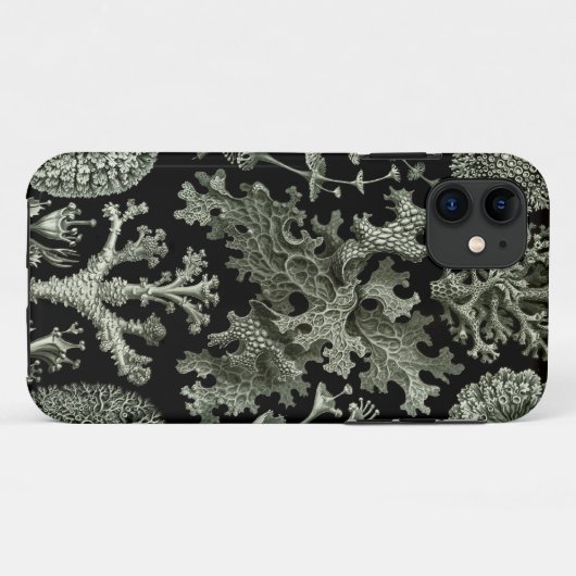 Haeckel iPhone Case - Lichenes (Achterkant (horizontaal))