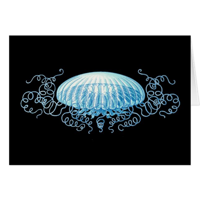  Haeckel Jellyfish (Voorkant Horizontaal)