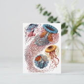 Haeckel Jellyfish Briefkaart (Staand voorkant)