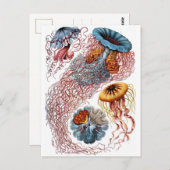 Haeckel Jellyfish Briefkaart (Voorkant / Achterkant)