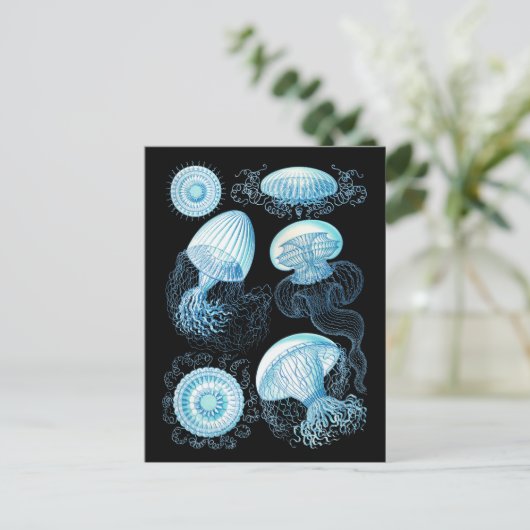 Haeckel Jellyfish Briefkaart (Staand voorkant)