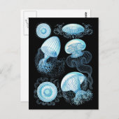 Haeckel Jellyfish Briefkaart (Voorkant / Achterkant)
