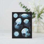 Haeckel Jellyfish Briefkaart (Staand voorkant)
