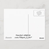 Haeckel Jellyfish Briefkaart (Achterkant)