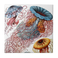 Haeckel Jellyfish Ceramics