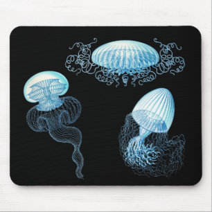 Haeckel Jellyfish Muismat