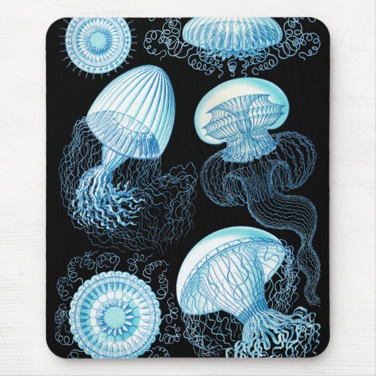 Haeckel Jellyfish Muismat (Voorkant)