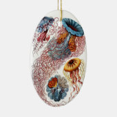 Haeckel Jellyfish Ornament (Rechts)