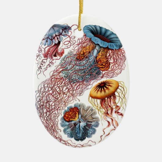 Haeckel Jellyfish Ornament (Voorkant)