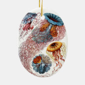 Haeckel Jellyfish Ornament (Achterkant)
