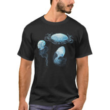 Haeckel Jellyfish
