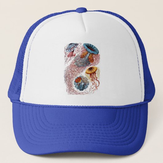 Haeckel Jellyfish Trucker Pet (Voorkant)