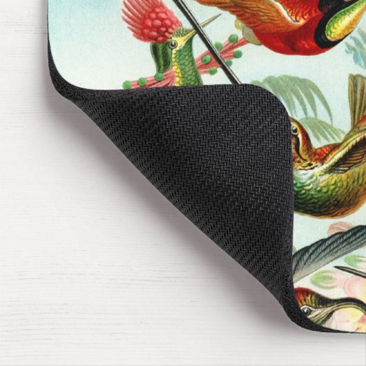 Haeckel kolibries muismat (Hoek)