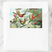 Haeckel kolibries rechthoekige sticker (Tas)