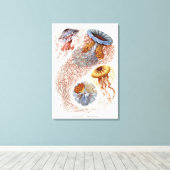 Haeckel kwal, Discomedusa Canvas Afdruk (Insitu (Houten vloer))