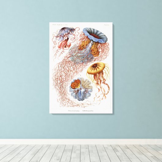 Haeckel kwal, Discomedusa Canvas Afdruk (Insitu (Houten vloer))