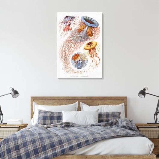 Haeckel kwal, Discomedusa Canvas Afdruk (Insitu (Slaapkamer))