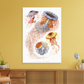 Haeckel kwal, Discomedusa Canvas Afdruk (Insitu (Woonkamer))