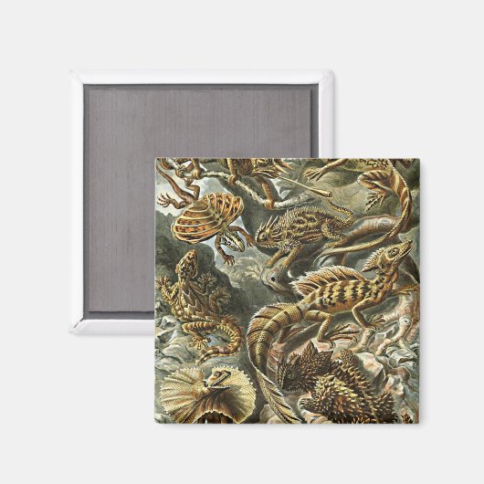 Haeckel Lizard Bearded Dragon Iguana Painting Magneet (Voorkant / Achterkant)