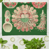 Haeckel Marine Kwallen Illustratie Rood & Groen Theedoek (Gevouwen)