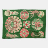 Haeckel Marine Kwallen Illustratie Rood & Groen Theedoek (Horizontaal)