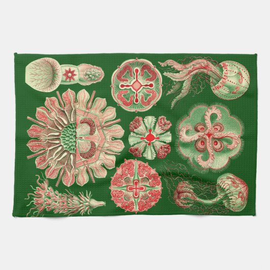 Haeckel Marine Kwallen Illustratie Rood & Groen Theedoek (Horizontaal)