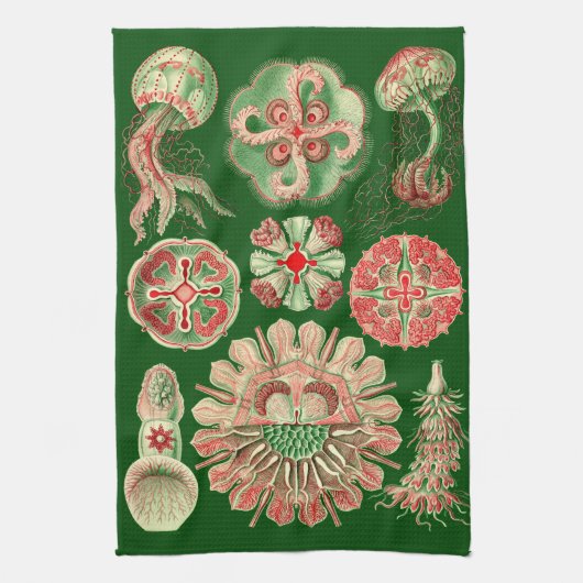 Haeckel Marine Kwallen Illustratie Rood & Groen Theedoek (Verticaal)
