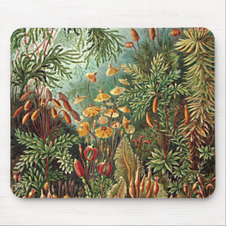Haeckel Mos, Gras, en Schimmel Paddestoel Schilder Muismat