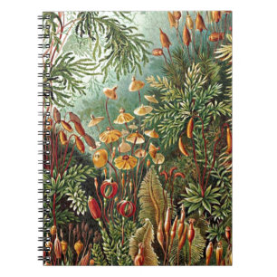 Haeckel Mos, Gras, en Schimmel Paddestoel Schilder Notitieboek