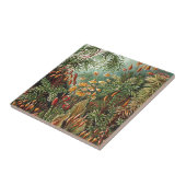 Haeckel Mos, Gras, en Schimmel Paddestoel Schilder Tegeltje (Zijkant)