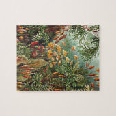 Haeckel Moss Grass Mushroom Painting Legpuzzel (Horizontaal)