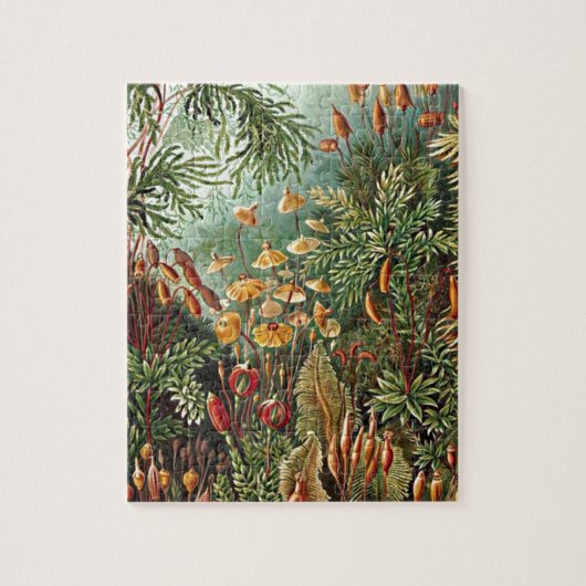 Haeckel Moss Grass Mushroom Painting Legpuzzel (Verticaal)