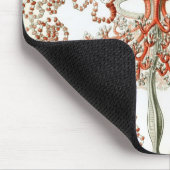 Haeckel Muismat (Hoek)