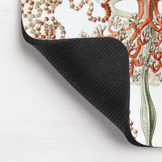 Haeckel Muismat (Hoek)