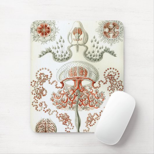 Haeckel Muismat (Met muis)