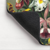 Haeckel Muismat (Hoek)