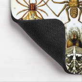 Haeckel Muismat (Hoek)