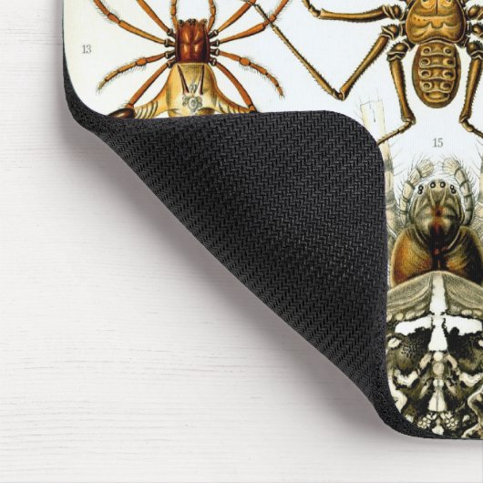 Haeckel Muismat (Hoek)