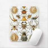 Haeckel Muismat (Met muis)