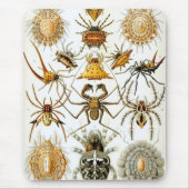 Haeckel Muismat (Voorkant)
