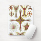 Haeckel Muismat (Met muis)