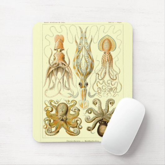 Haeckel Muismat (Met muis)