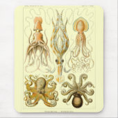 Haeckel Muismat (Voorkant)