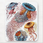 Haeckel Muismat<br><div class="desc">Haeckel mousepad.</div>