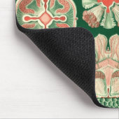 Haeckel Muismat (Hoek)