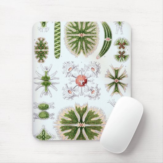 Haeckel Muismat (Met muis)