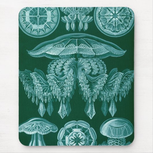 Haeckel Muismat (Voorkant)