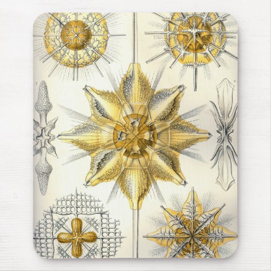 Haeckel Muismat (Voorkant)