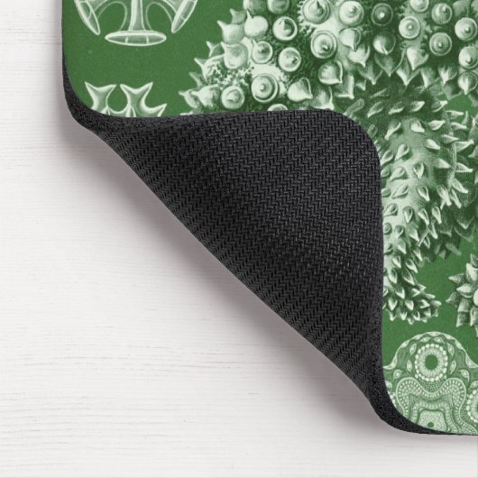 Haeckel Muismat (Hoek)